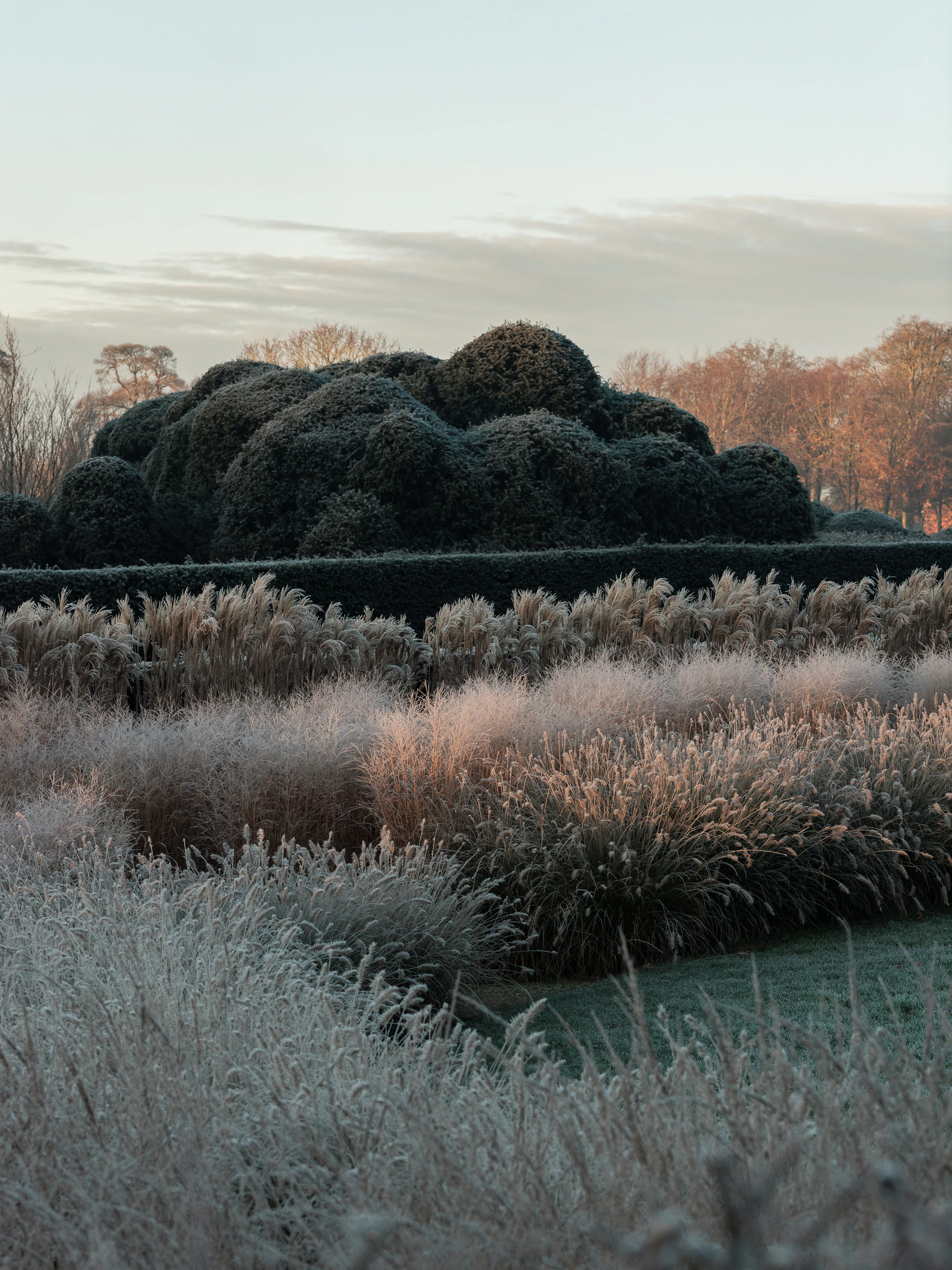 Winter reveals the layered landscape’s true architecture