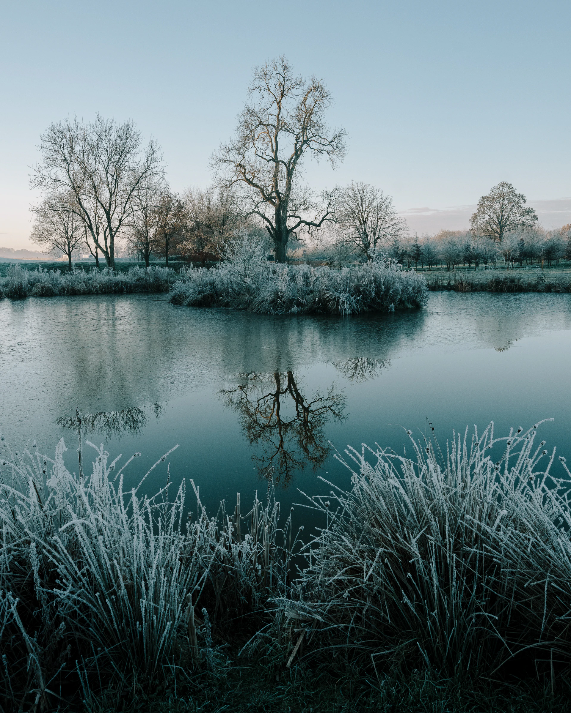 The mirror-like surface of one of the ponds reflects the stillness of the season