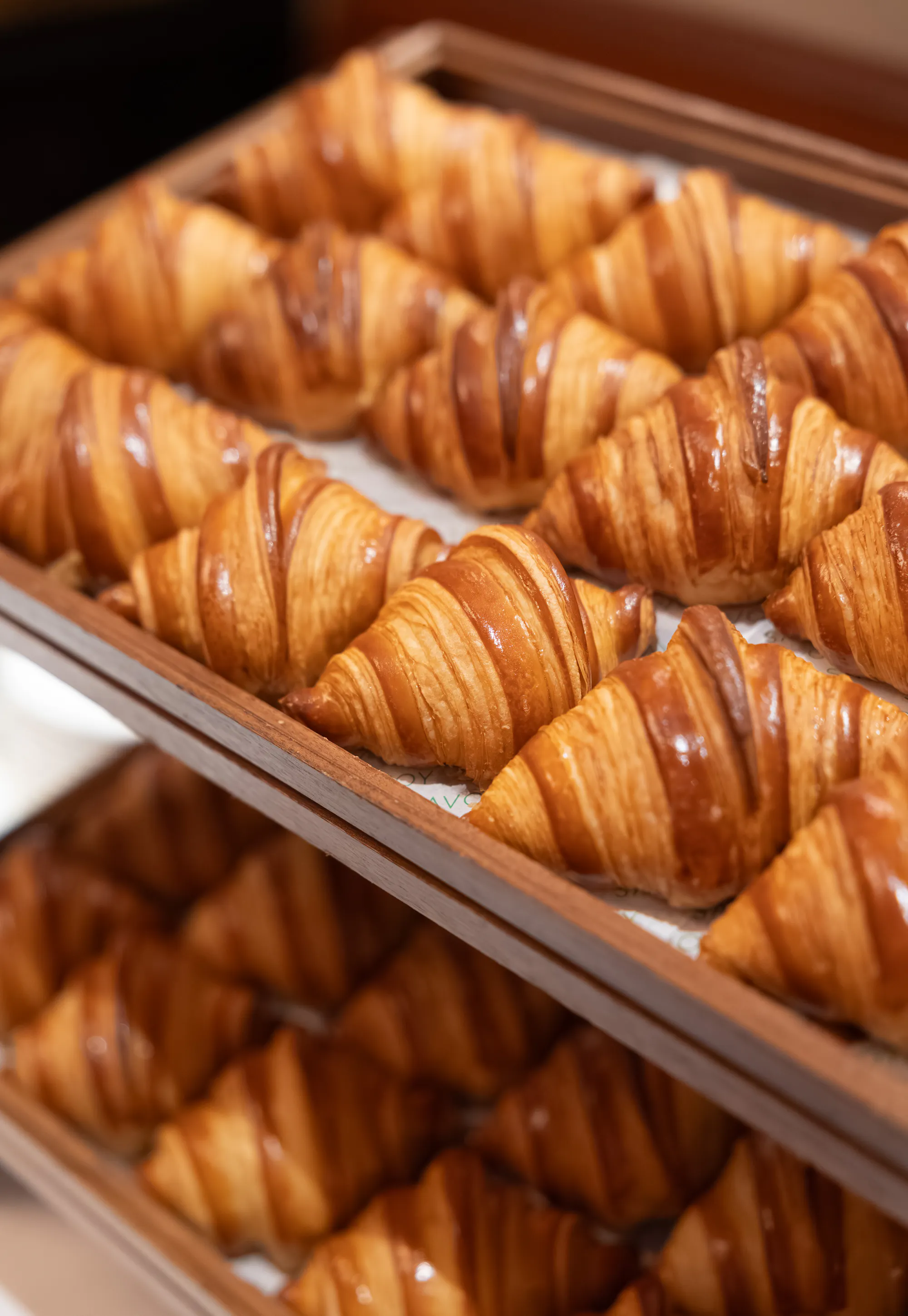 Baking tray filled with rows of golden, freshly baked croissants.