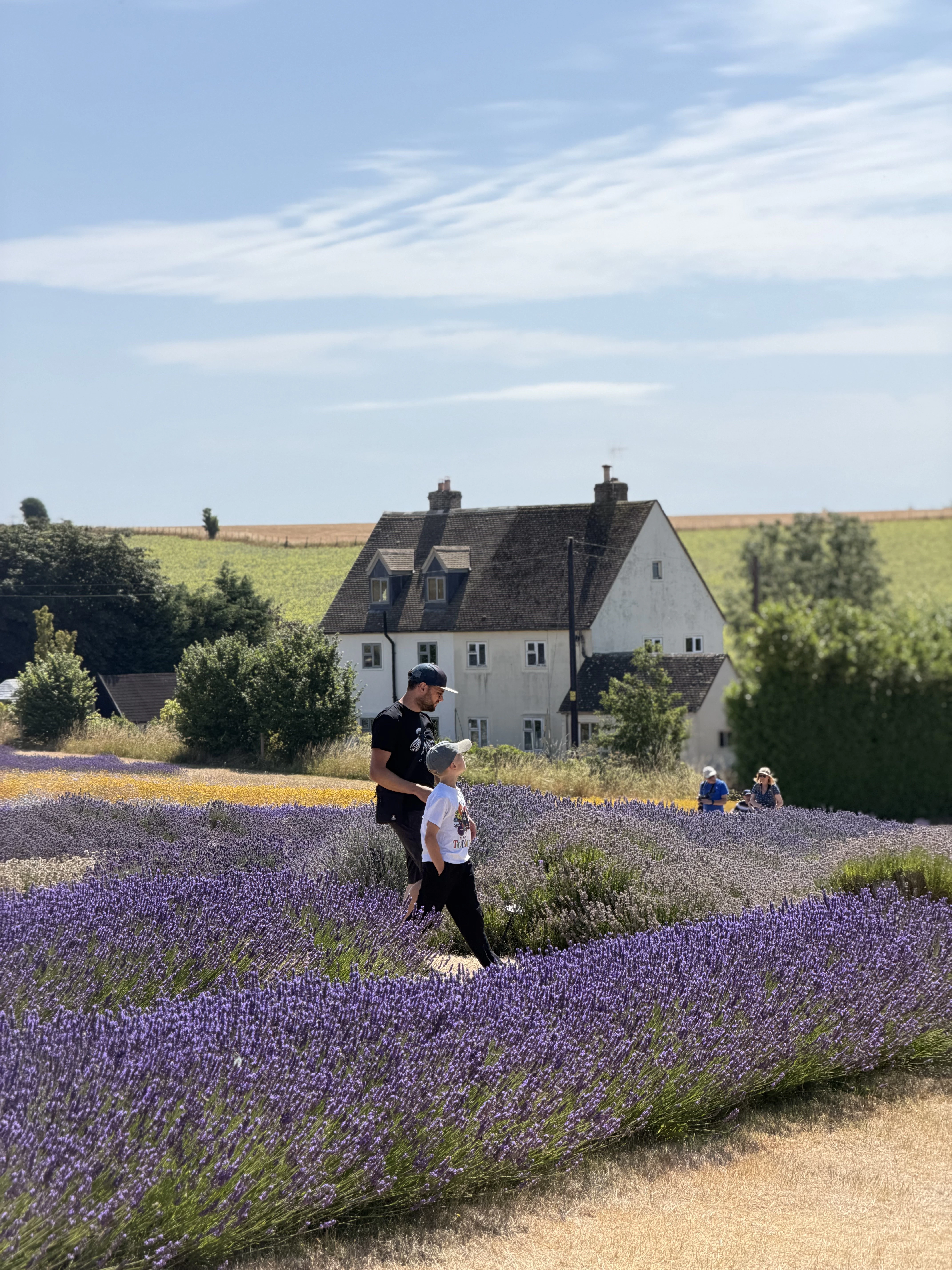 Father and son walking in a Cotswolds lavender field with a house and green hills in the background.